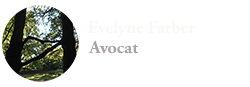 médiateur avocat Evelyne Farber